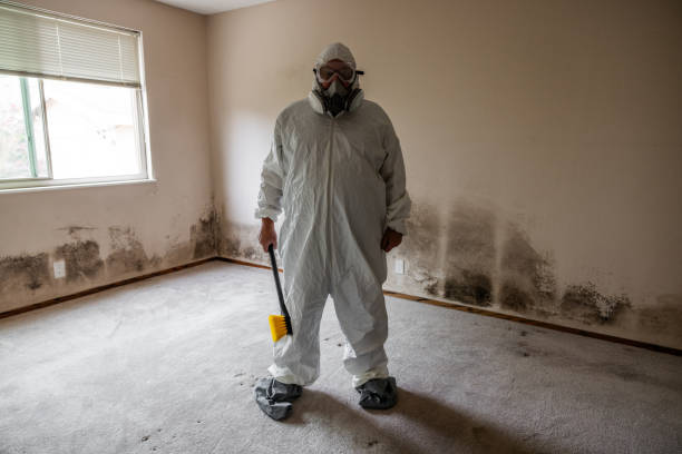 Crawl Space Mold Removal in Bennington, NE
